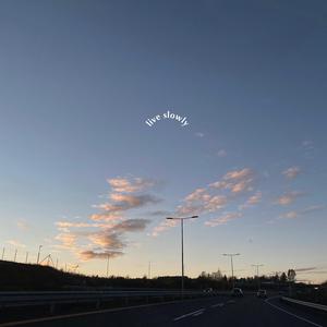 国产91精品在线观看
