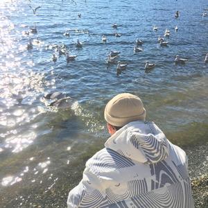 国产91精品在线观看
