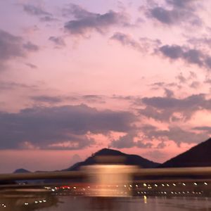 国产91精品在线观看
